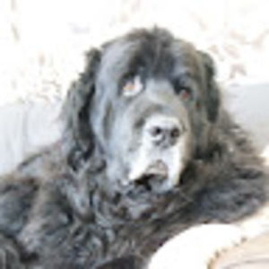 Meet your Posher, Jan